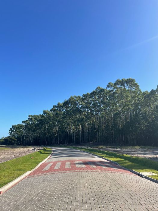 Terreno - Venda - Condado de Orange - Passo de Torres - SC