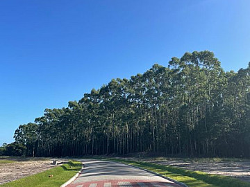 Terreno pronto para construir